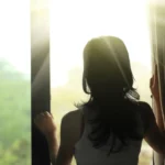 Property Image 12342