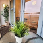 Private balcony with potted plant and outdoor seating, overlooking Centrium gardens and city, Woking
